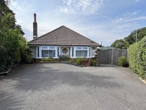 Lead Photo- click for photo gallery